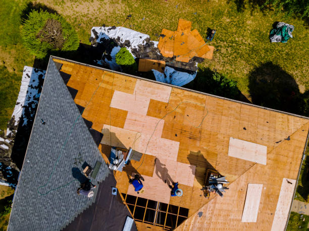 Best Emergency Roof Repair  in Prospect Rk, PA